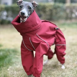 Chaqueta impermeable reflectante para perros galgo y Bedlington