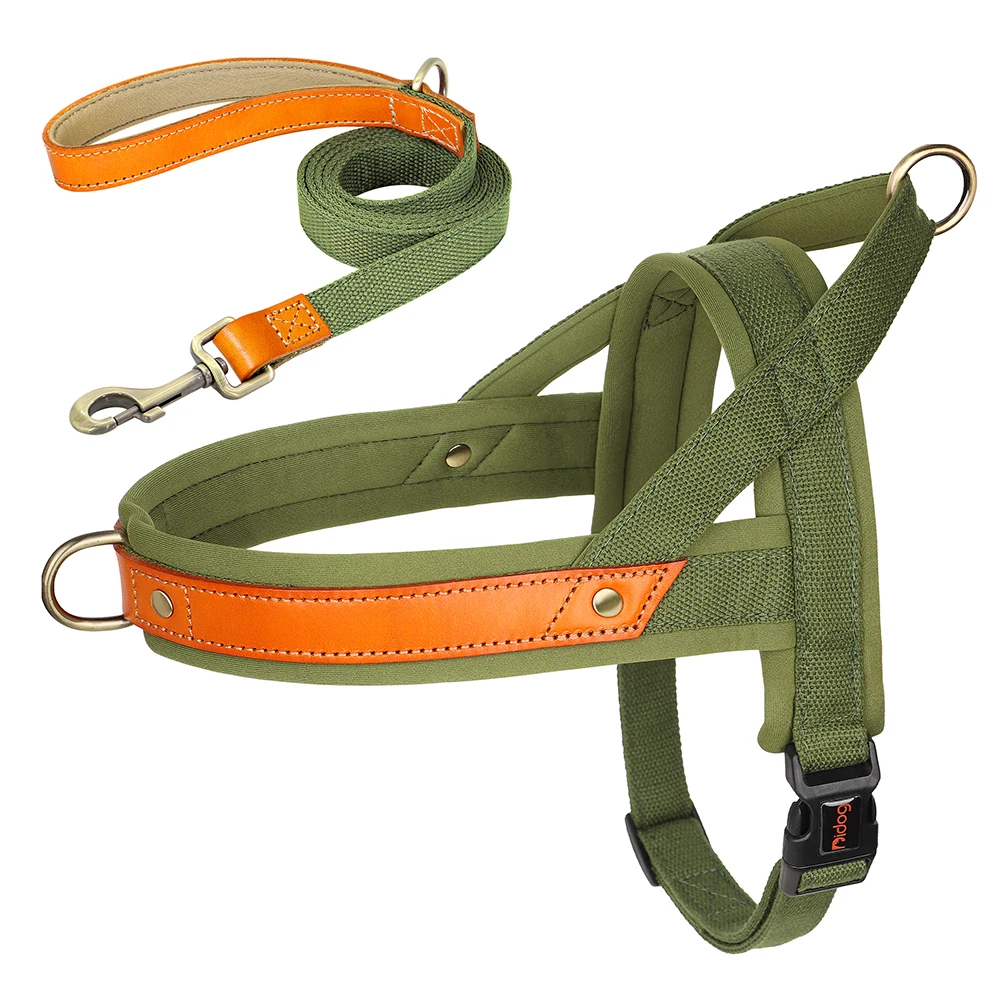 Green Harness