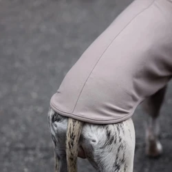 Camiseta caqui y sudadera para Galgo Italiano