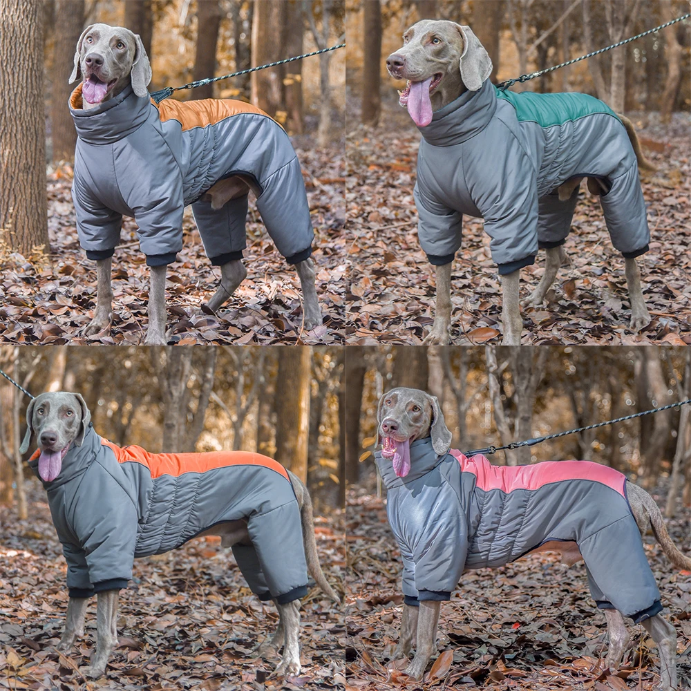 Monos impermeables para perros medianos y grandes, mono de invierno para mascotas, chaqueta de Bulldog Francés, disfraz de Labrador - imagen 2