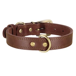 Collar de cuero ajustable para perros pequeños, medianos y grandes