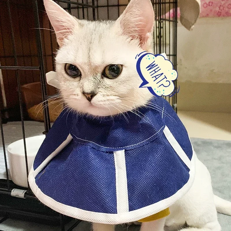 Cono de recuperación post-cirugía para perros y gatos - imagen 4