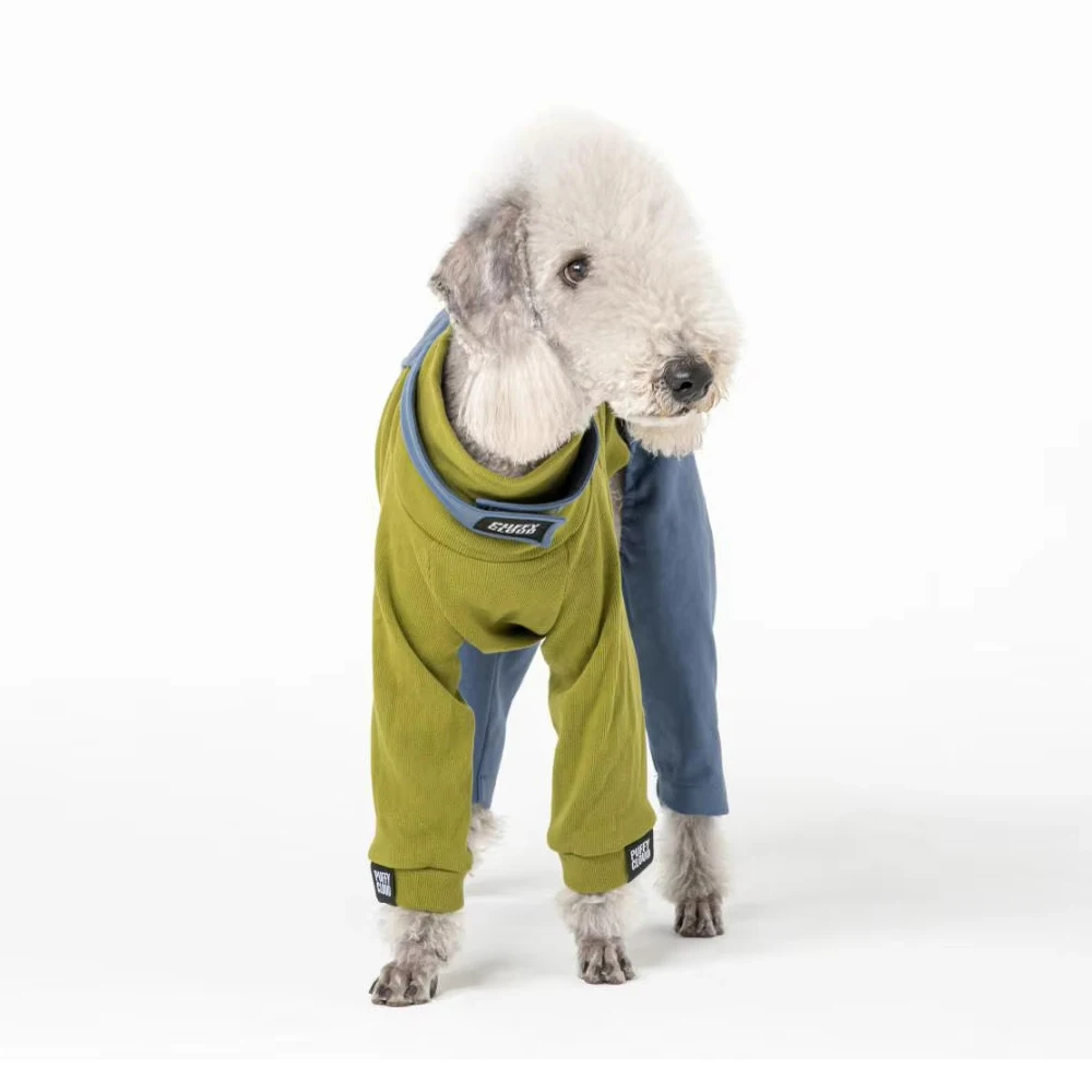 Conjuntos de ropa para perros Whippet Berlington Terrier, ropa de retales de lujo para galgo italiano en primavera e invierno