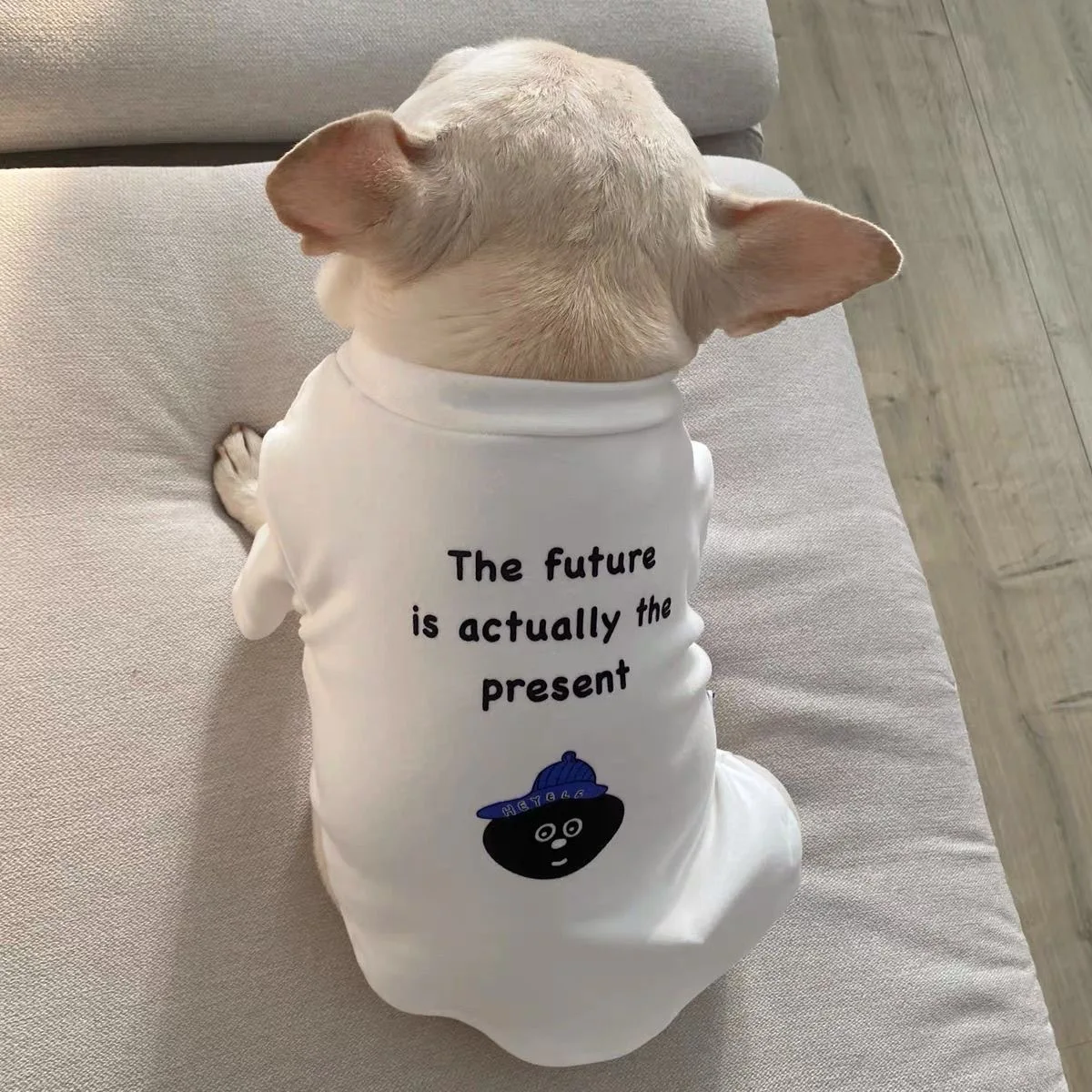 Ropa bonita de invierno para perros, Jersey cálido para cachorros, sudadera, chaqueta blanca para mascotas, abrigos para perros pequeños y medianos, disfraz de Bulldog Francés - imagen 3