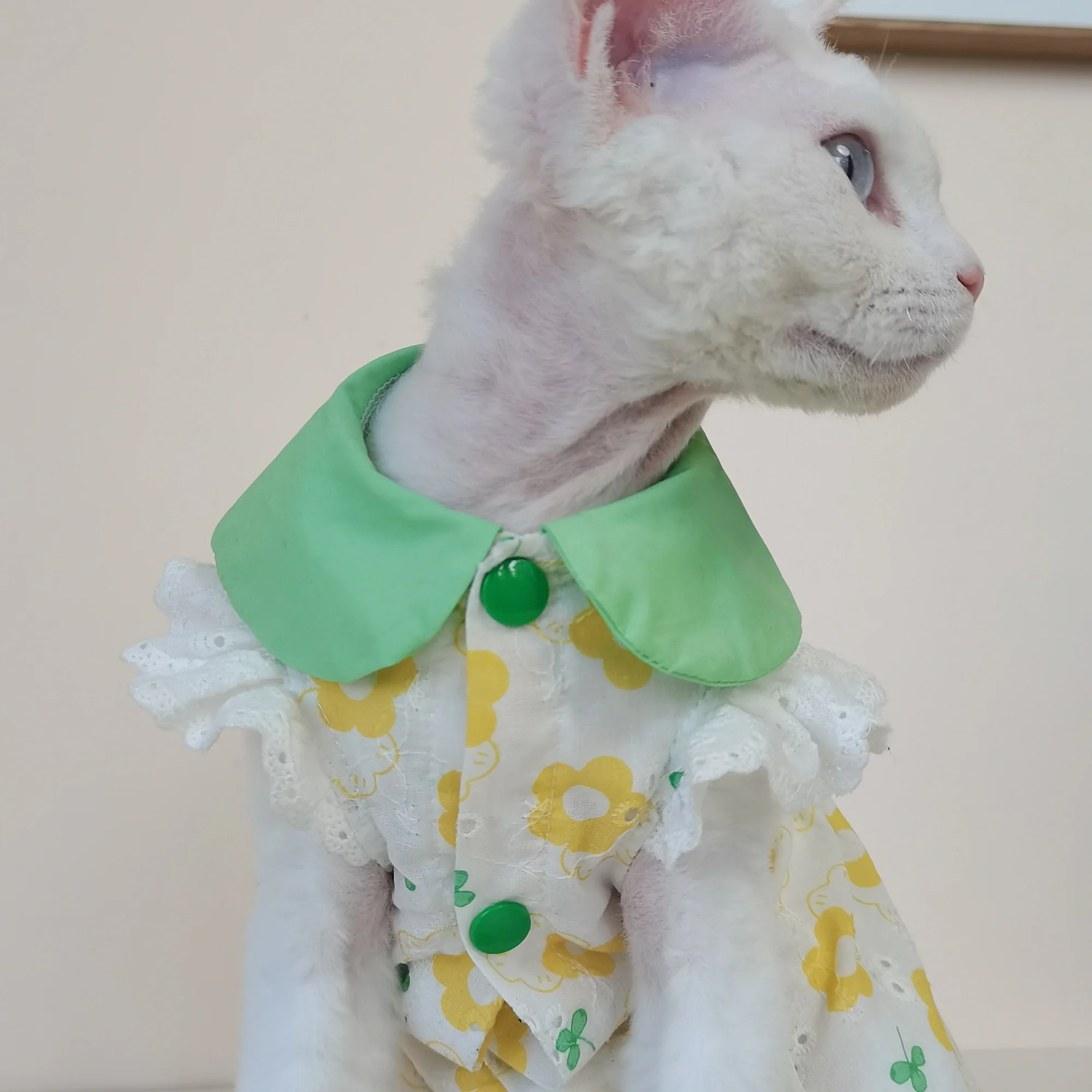 Sphynx-ropa para gatos, vestido de algodón Floral amarillo, falda con cuello verde dulce de verano para mujer, camisola de primavera para gatos, camisa para gatitos - imagen 4