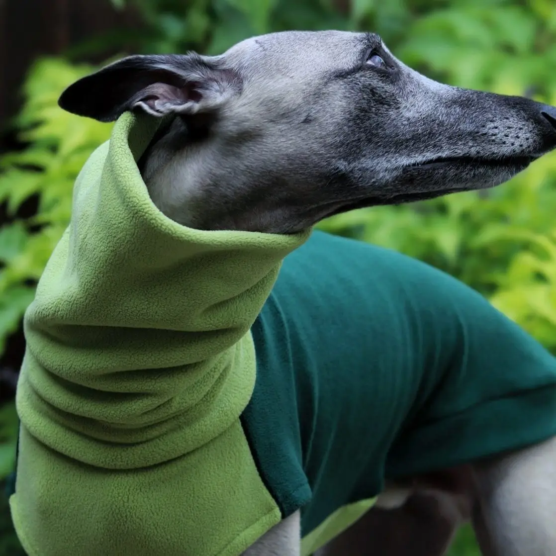 Suéter forro polar verde cuello alto para Whippet y Galgo Español - imagen 4