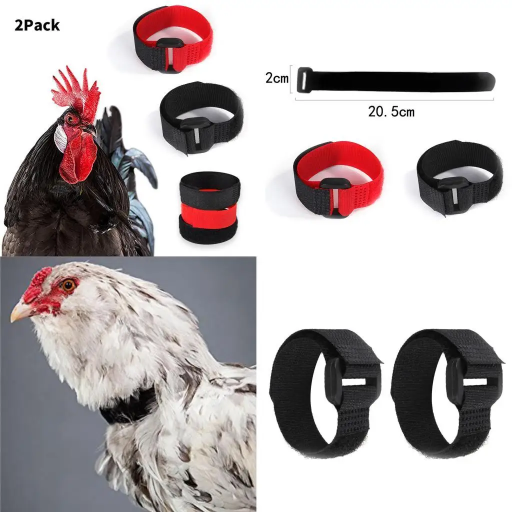 2pcs No Crow Collar for Roosters No Crowing Belt Neckband Poultry Supplies Anti Crow Rooster Collar No Noise