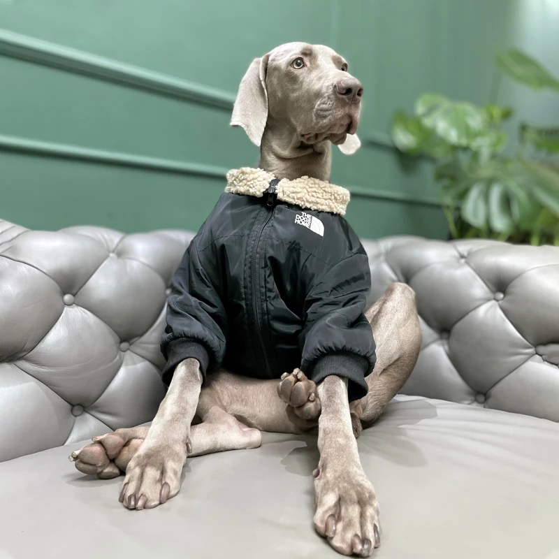 Ropa impermeable para perros grandes, chaqueta cálida de lujo para perros grandes con cremallera, ropa Labrador Golden Retriever Dobermann - imagen 2