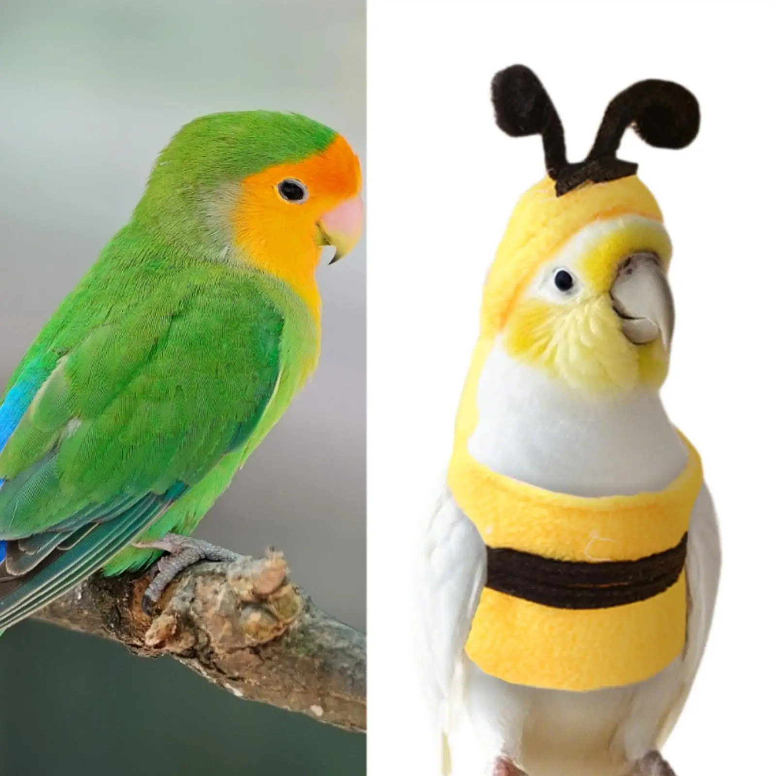 Bird Pet Bird Clothes Bee Shaped Reusable Small Animals Apparel Bird Costume for Cosplay Birthday Outdoor Cockatiel