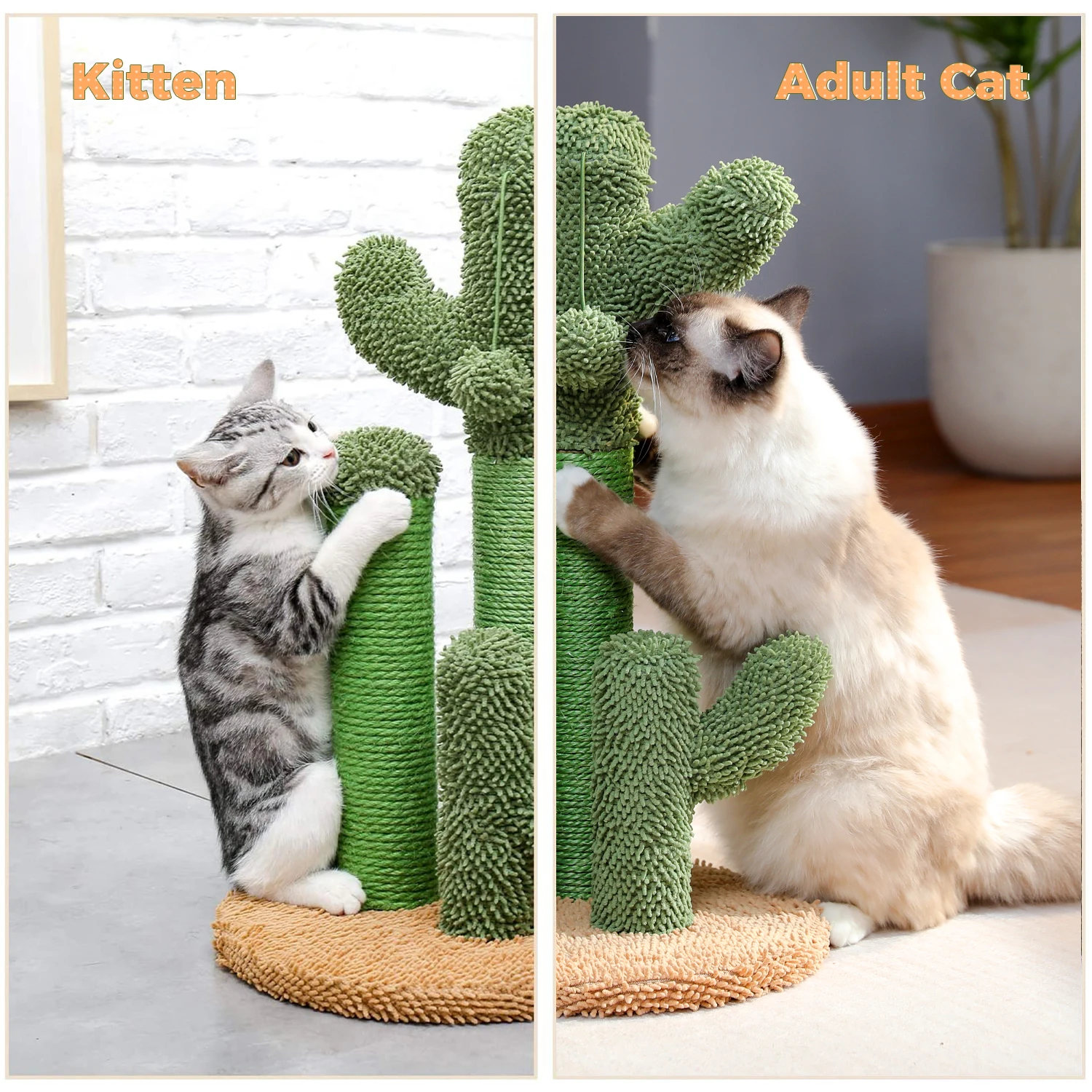 Poste à gratter pour chat Cactus, arbre à chat Cactus, grattoir pour chat vert avec corde en Sisal naturel, boule pendante interactive, meubles pour chat - imagen 3