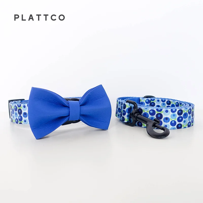 Bow Tie Collar Leash