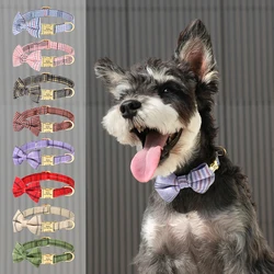 Collar nailon personalizado para Chihuahua - Grabado nombre incluido