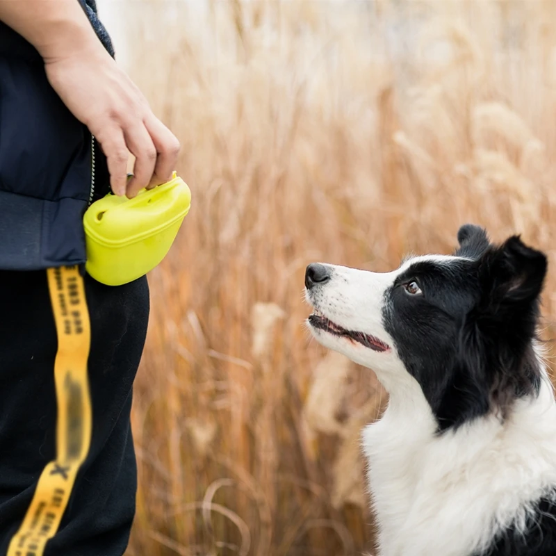 Riñonera portátil para entrenamiento de perros, bolsa de cintura para tratar aperitivos, cebo para perros, obediencia, agilidad, bolsa de almacenamiento de alimentos al aire libre, riñonera de recompensa, 1 ud. - imagen 4