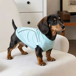 Chaleco refrigerante para perros pequeños Pinscher y Schnauzer