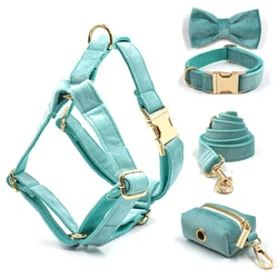 Arnés y collar terciopelo azul para cachorro – Grabado personalizado incluido