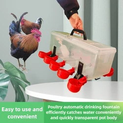 Bebedero automático para aves de corral, patos y gansos