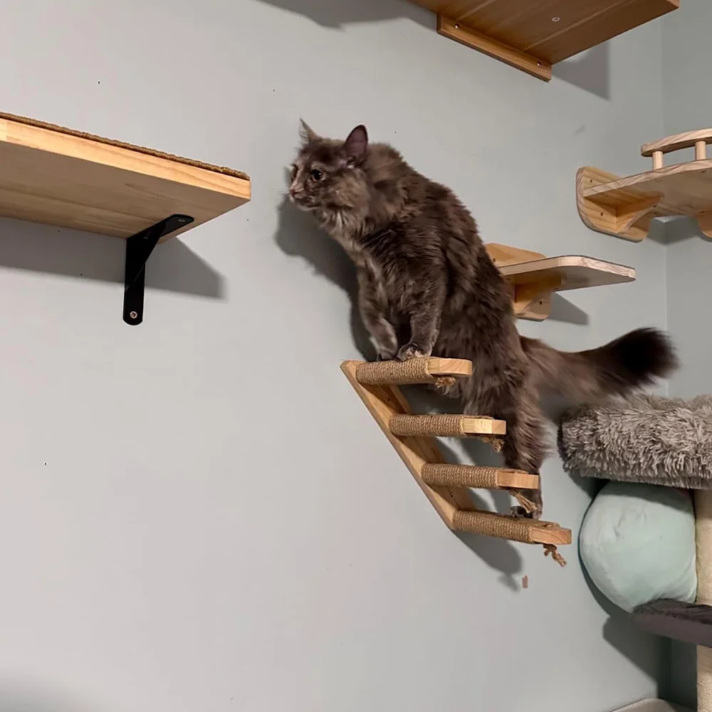 Sistema de escalada para gatos montado en la pared, estantes de madera, escaleras de Sisal, hamaca y perchas, muebles de pared para gatos, escalada y rascar en interiores - imagen 3