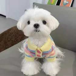 Suéter amarillo a rayas de punto peluche para perros Maltés y Caniche