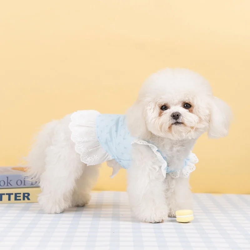 Vestido de encaje de princesa para mascotas, ropa para perros, novedad de verano, vestido para cachorros, falda con tirantes de peluche Yorkshire, chaleco a rayas a la moda para mascotas, Sarees - imagen 3