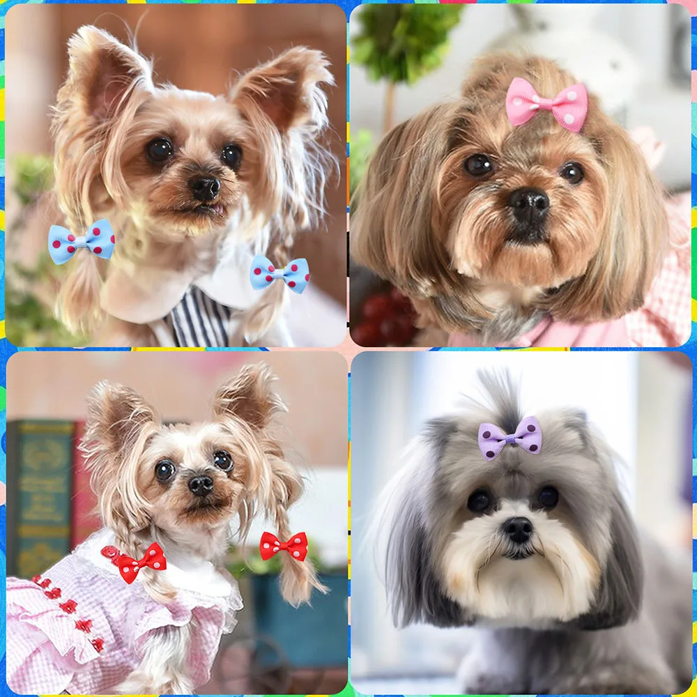 500 Uds. Lazos para perros a granel, lazos para el pelo para mascotas, bandas de goma con puntos sólidos, accesorios para el cabello para perros pequeños, aseo para perros pequeños - imagen 4