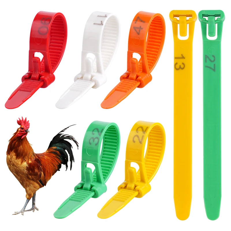 50 uds/100 Uds. Anillos ajustables para patas de pollo, 5 colores de diámetro, anillos para pies retráctiles flexibles para pollo y aves de corral, tarjeta para marcar aves de corral