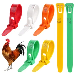 Anillos ajustables para patas de pollo – 5 colores – Juego aves