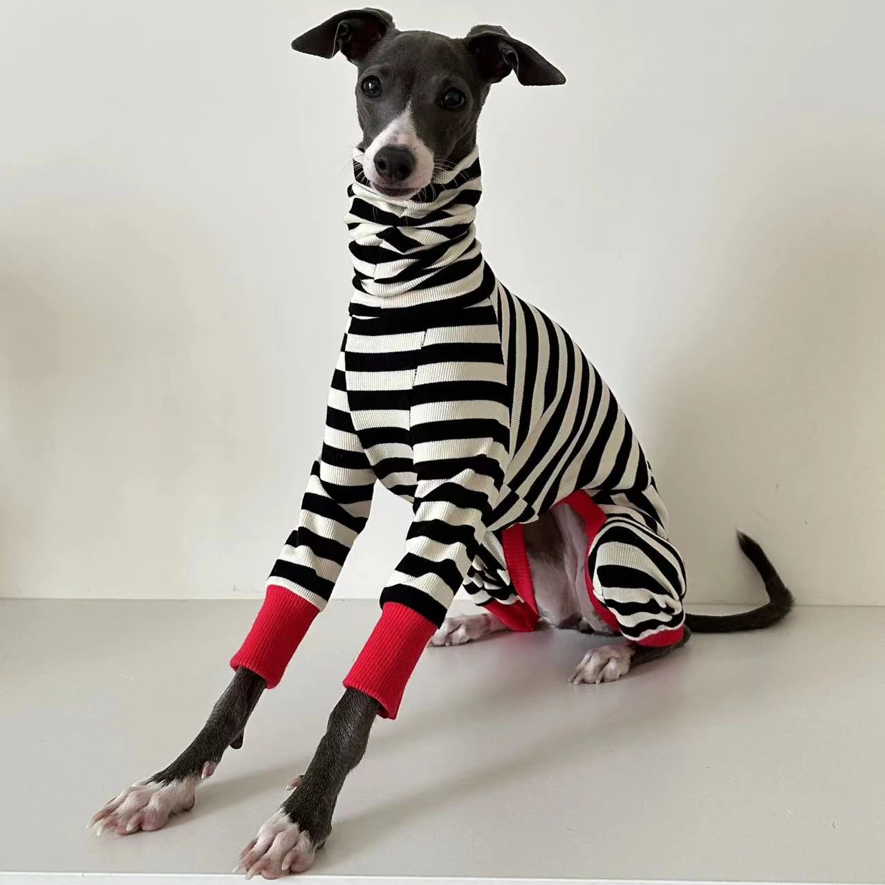 Ropa italiana de cuatro patas a rayas de galgo, ropa suave y elástica para whippet, ropa cálida de invierno para perros - imagen 4