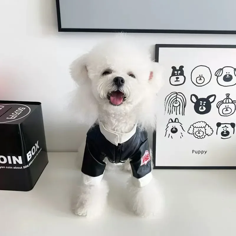 Abrigo de cuero empalmado para motocicleta de otoño/invierno para mascotas, ropa para perros y gatos, abrigo bonito de oso de peluche, ropa para cachorros pequeños - imagen 2