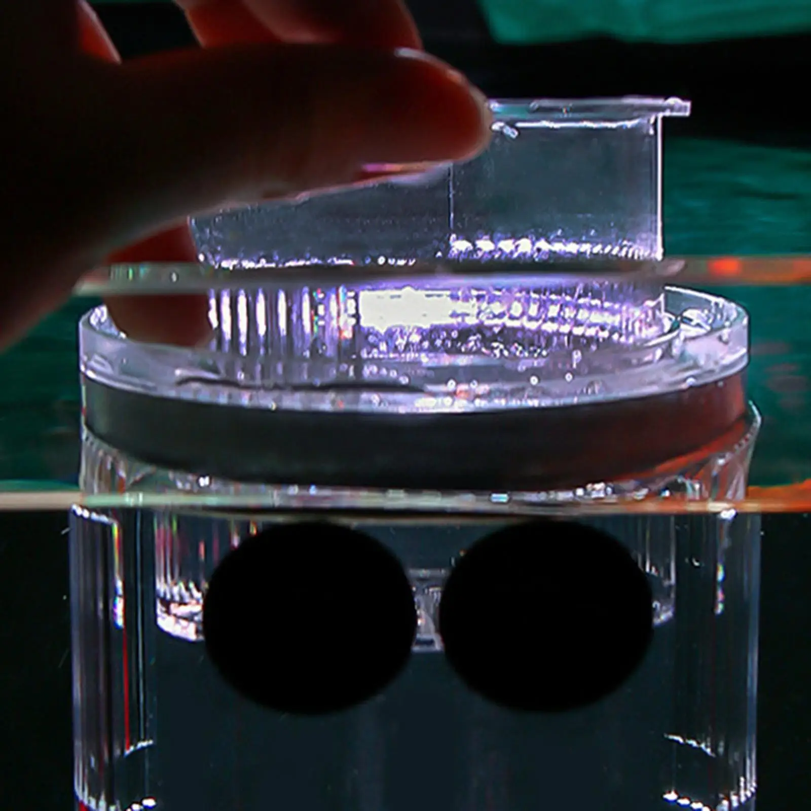 Hatchery Incubator Tank Sturdy Clear Fish Isolation Box for Baby Fishes