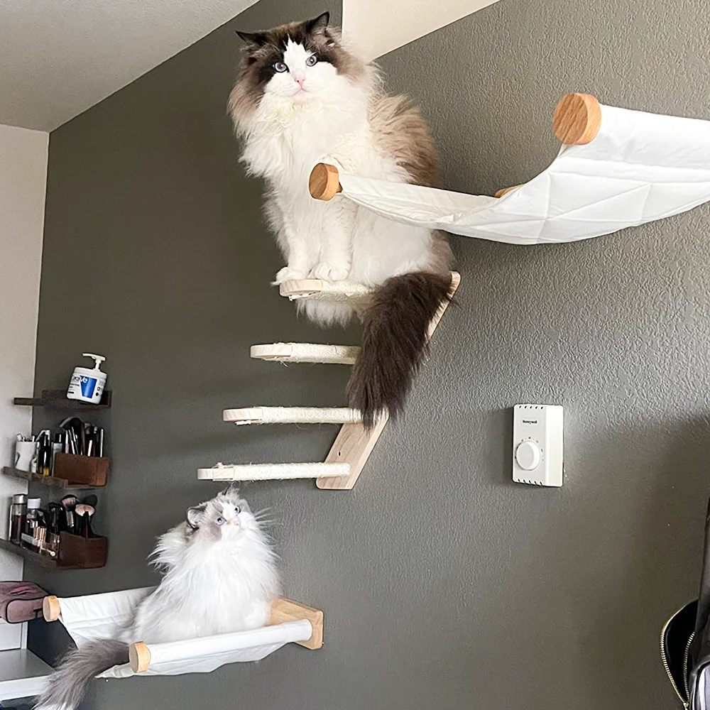 Escalera de escalada sólida montada en la pared para gatos y hamaca para gatos, muebles de madera con poste rascador para actividades, perchas para gatos de interior - imagen 5
