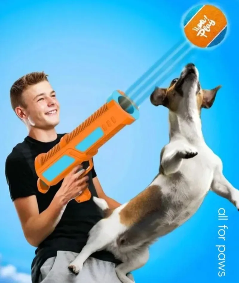 Perro disfrutando del juego