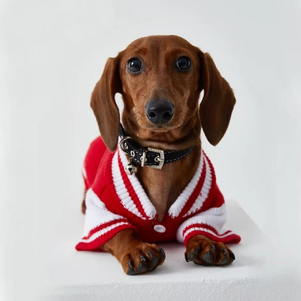 Suéter de punto de moda para perros Wiener, chaqueta cárdigan de invierno para perros tejón, mangas largas cálidas para perros salchicha en otoño - imagen 2