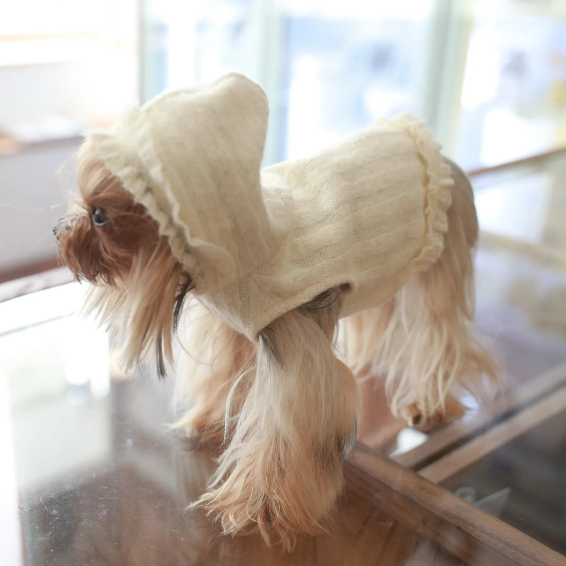 Sudadera con capucha para gatos y perros pequeños de otoño/invierno - imagen 3