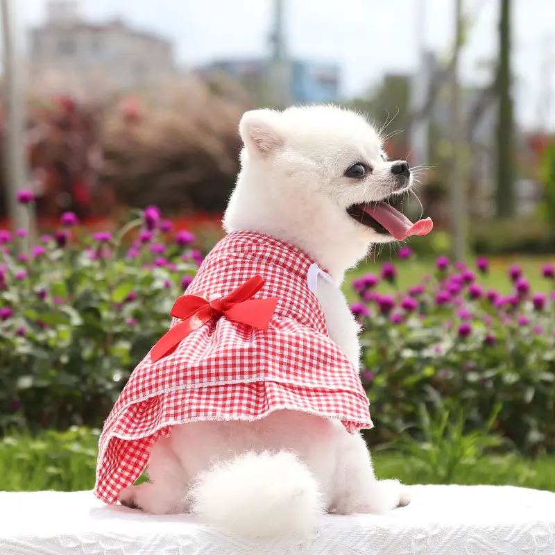Falda a cuadros para perro y gato, vestido con lazo para cachorro y gatito, ropa a rayas para mascotas, vestidos para perros de oso de peluche Bichón - imagen 2