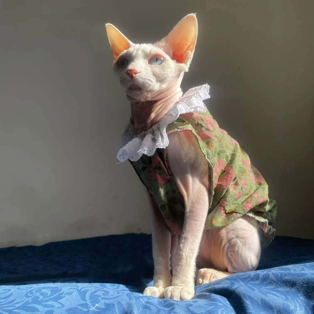 Falda de algodón Floral con cuello de encaje verde dulce de verano para vestido sin mangas de gato Sphynx para Devon Rex camisa transpirable para gatitos