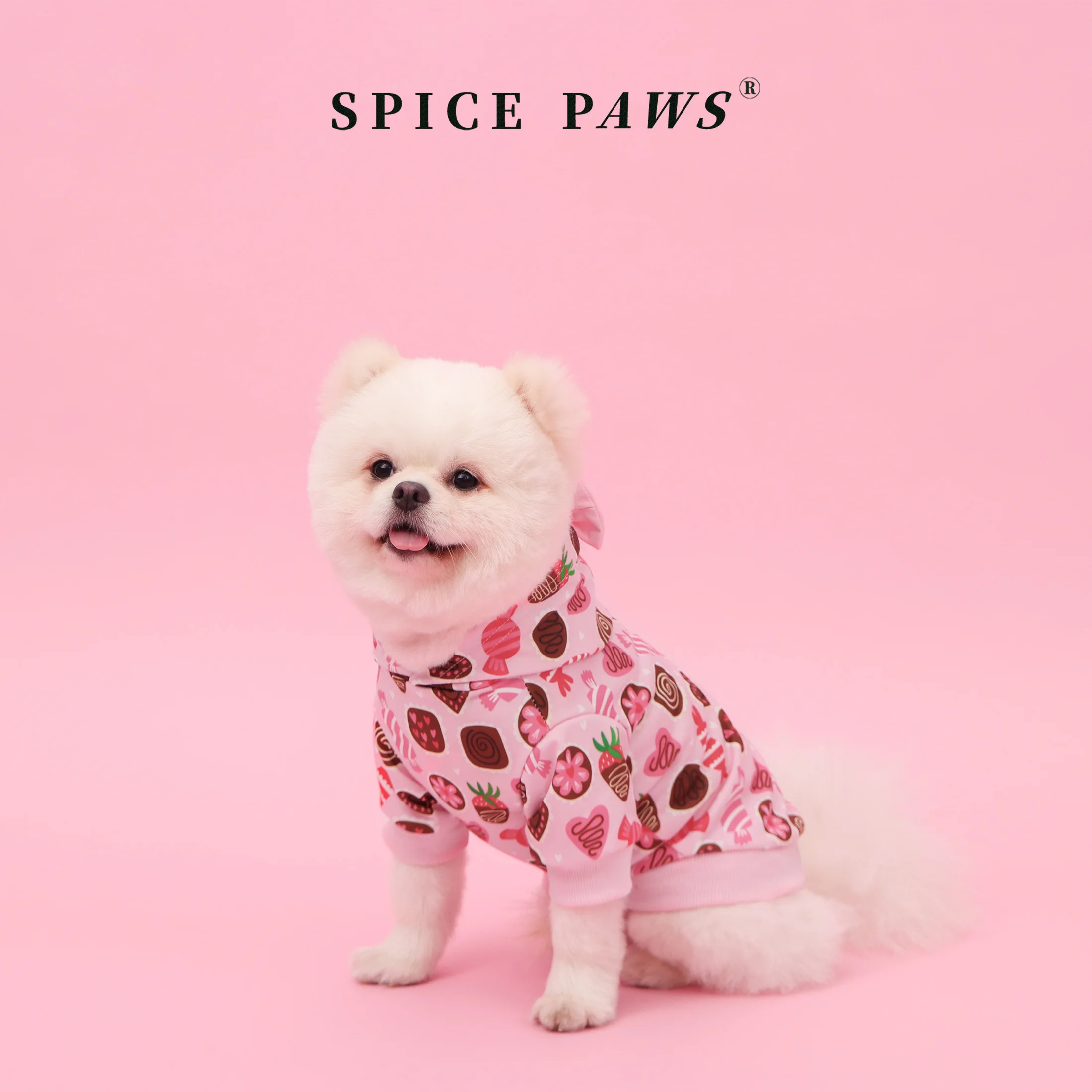 Sudadera con capucha para perros de todos los tamaños - imagen 4