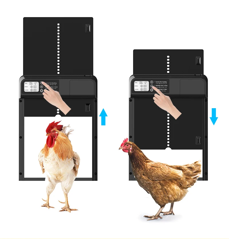 Instalación de puerta de gallinero automática