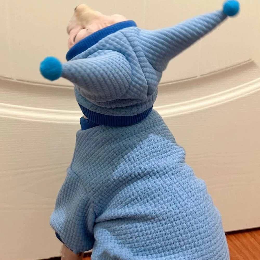 Sudadera Waffle Sombrero Traje para Sphynx Cat Invierno Cálido Negro Azul Rosa Abrigo para Gatitos Primavera Chaqueta gruesa suave para Devon Rex - imagen 4