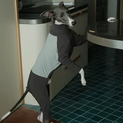 Mono verano transpirable para Galgo Italiano – Secado rápido y resistente a insectos