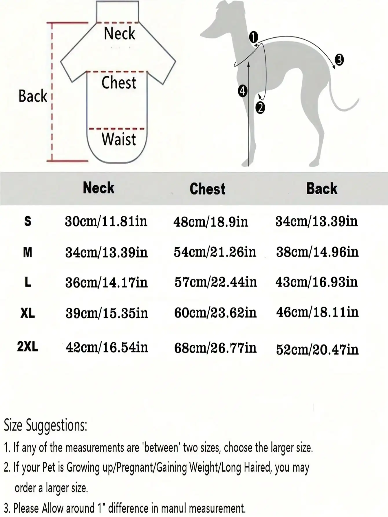 Chaqueta azul para Greyhound y Whippet en exterior