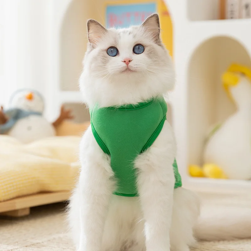 Los gatos mantienen el calor en otoño e invierno, felpa fina en principios de otoño, lindos ojos grandes, lindo suéter de tracción para cachorros, ropa para mascotas - imagen 2