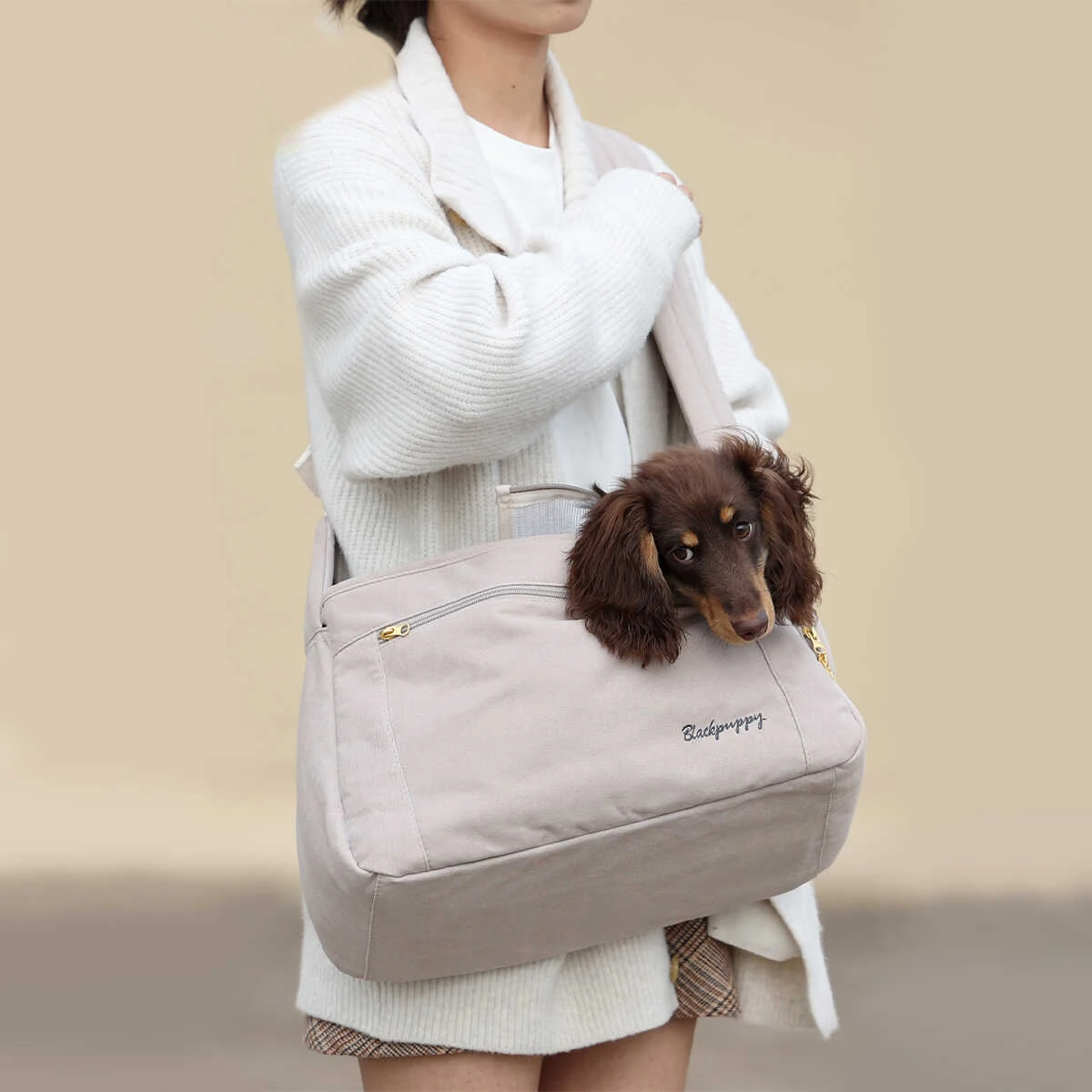 Viaje al aire libre mascota perro salchicha portador de cachorros bolso de hombro bolsa de viaje paquetes de negocios cesta de transporte para perros pequeños medianos - imagen 2