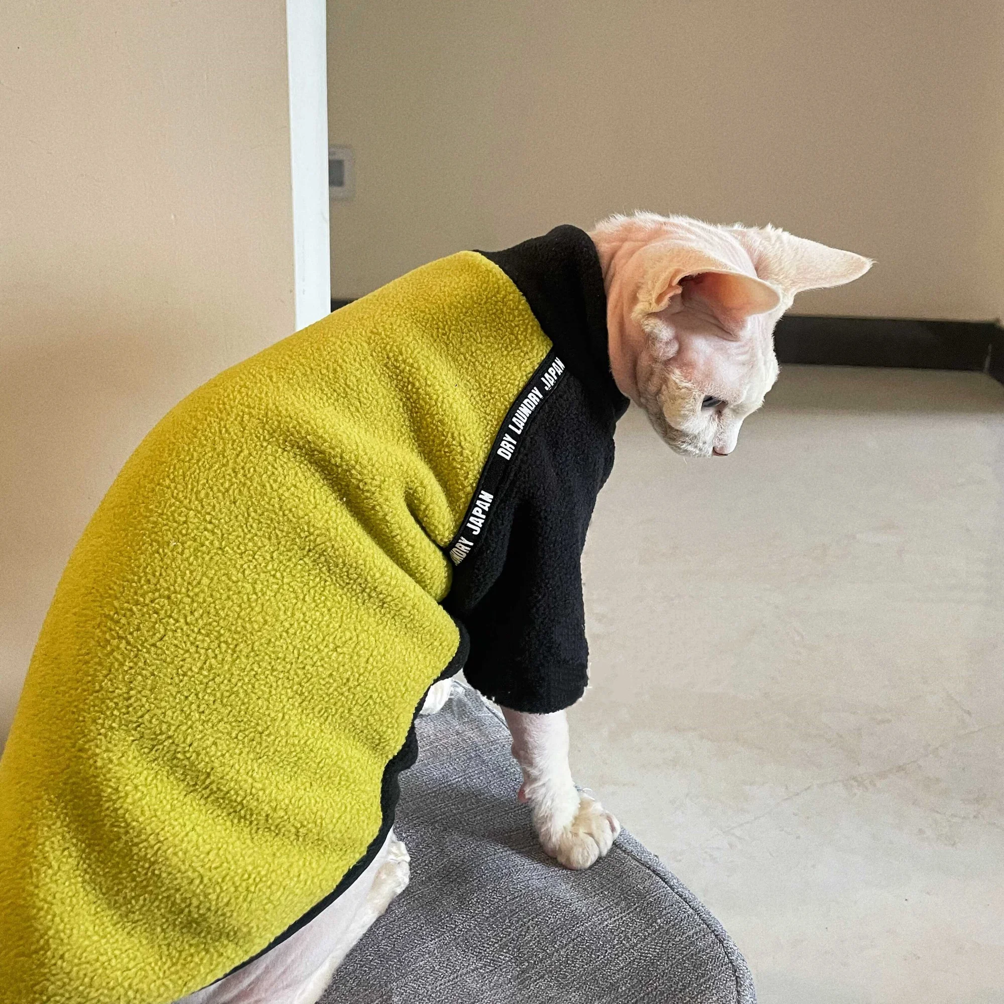 Abrigo de lana cálido ligero para gatos Sphynx y Devon Rex - imagen 3