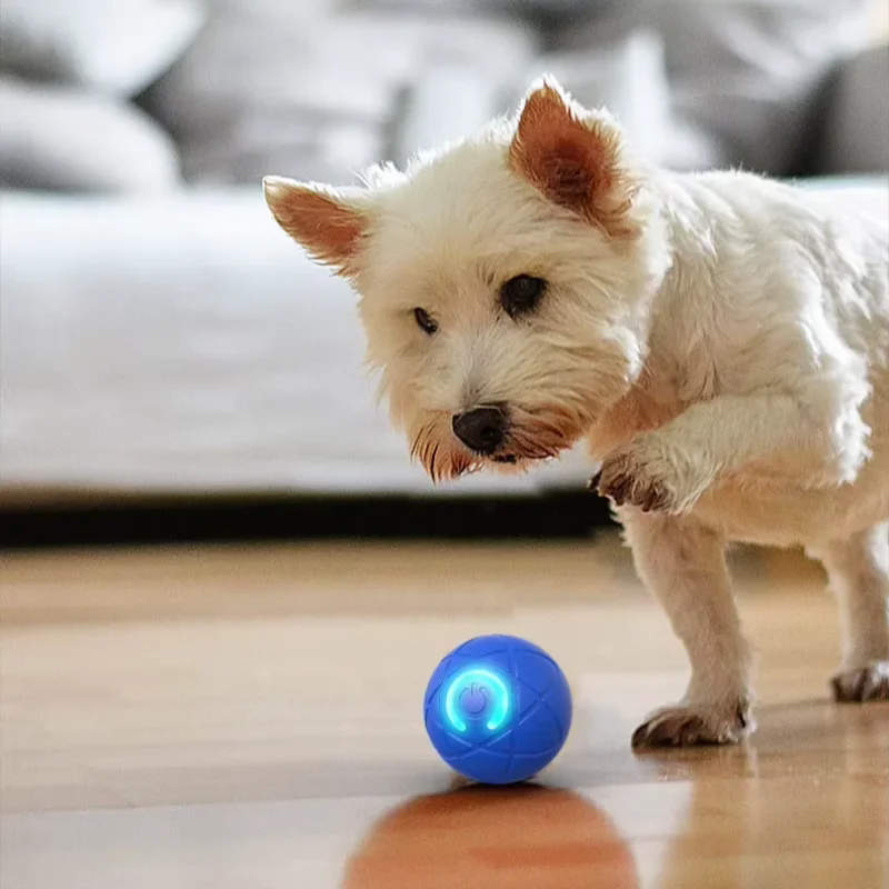 Pelota rodante interactiva para perro, juguete con movimiento automático, pelota vibratoria recargable, pelota rodante para saltar con luz Led - imagen 5
