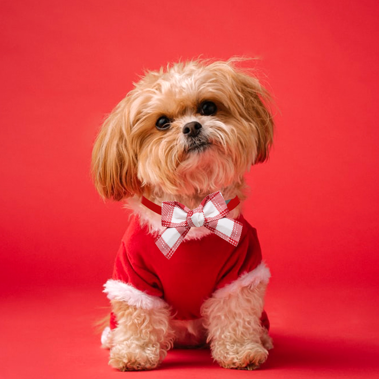 Pajarita Perros - Diseño variado