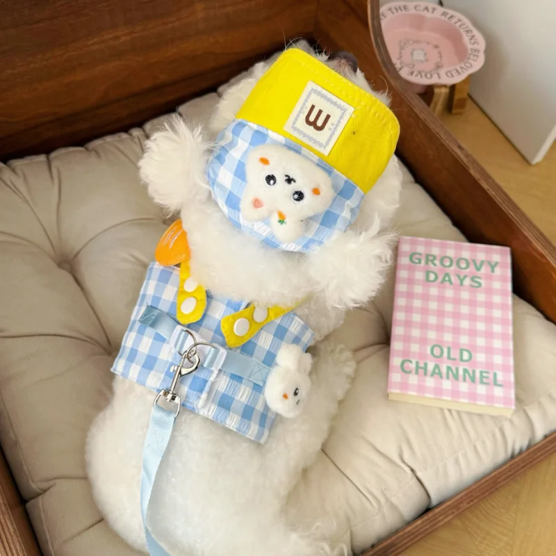 Ropa para perros, verano, conejo, rana, a cuadros, arnés para perros, sombrero con correa, conjunto de 3 uds., chaleco fino transpirable para mascotas, arnés, gorro para cachorros, trajes para perros 2025