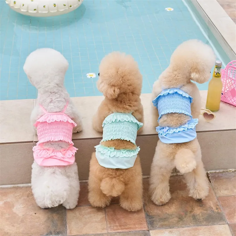 Traje de baño de primavera para mascotas, camisola de una pieza para gatos, chaleco para perros, traje de baño, ropa para gatos + gorro de baño, vestidos para perros pequeños