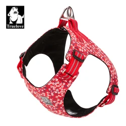 Arnés chaleco floral para perro, perfecto para paseos