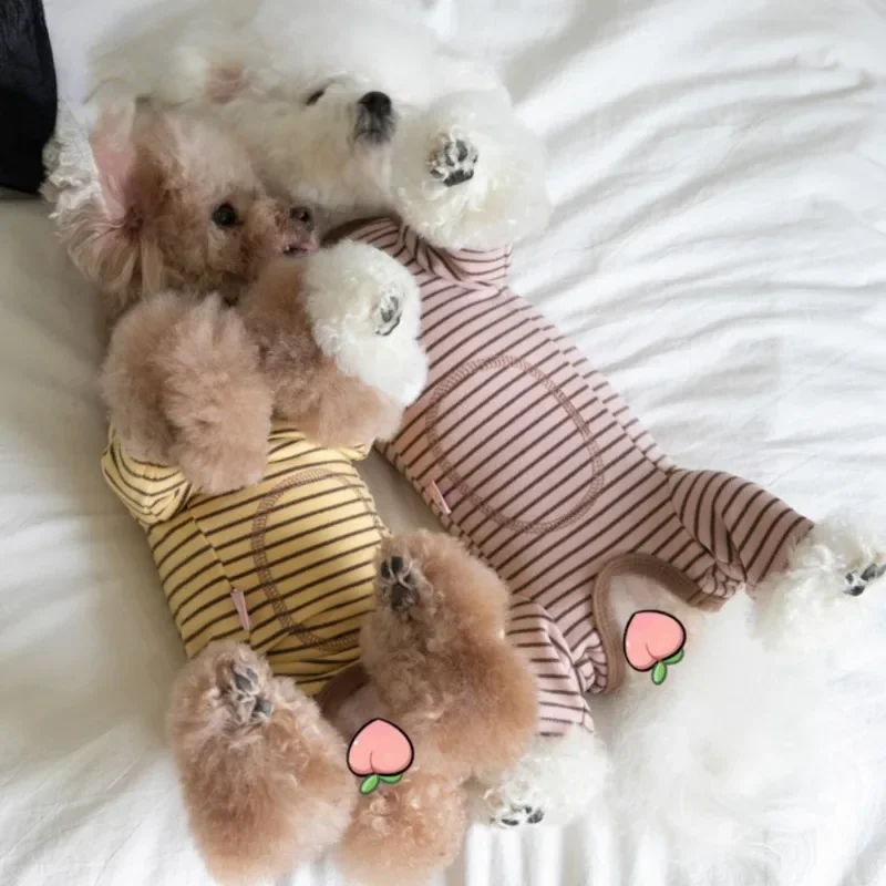 Bolsa de ropa para perros a rayas, pantalones de cuatro pies para primavera y otoño e invierno, ropa para mascotas, cachorros, ropa para mascotas de cuatro patas - imagen 3