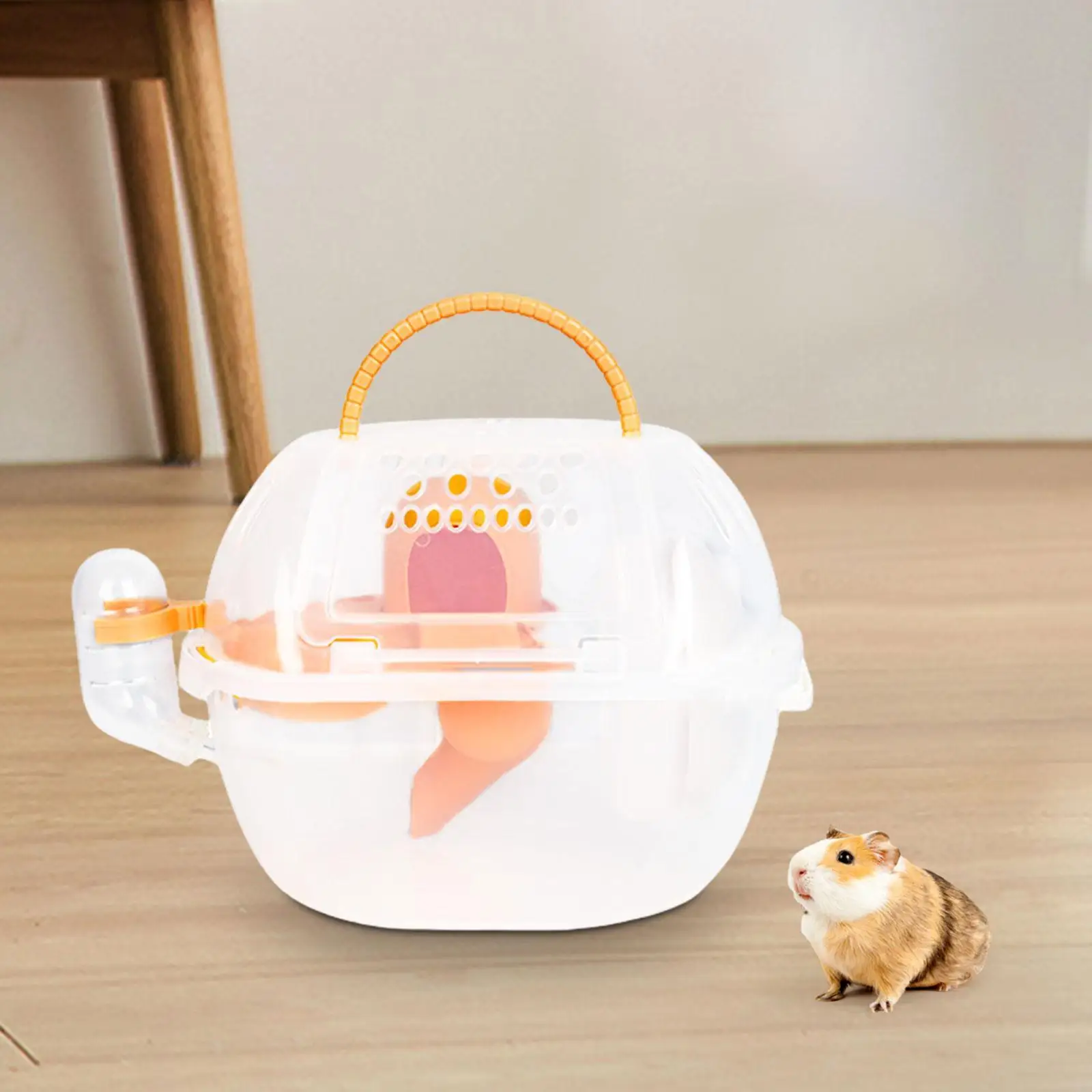 Hamster Carrier Cage Clear Small Animal Carry Case for Ferrets Squirrel Mice